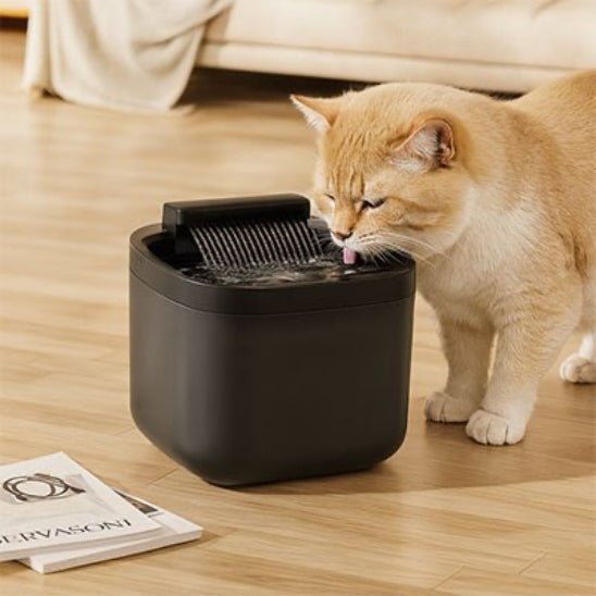 Fontaine a eau pour Chat | PetWell - Chat Ronronne