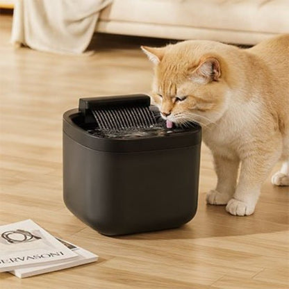 Fontaine a eau pour Chat | PetWell - Chat Ronronne