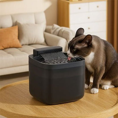 Fontaine a eau pour Chat | PetWell - Chat Ronronne