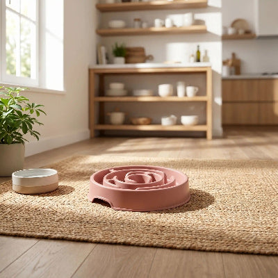 Gamelle anti glouton chat, SlowMeal rose