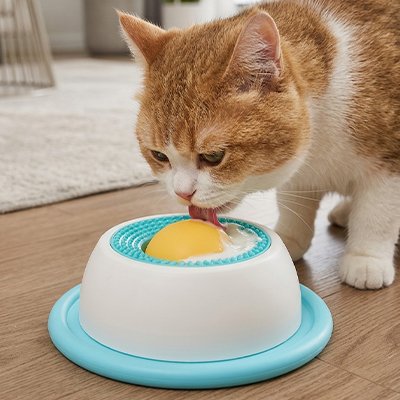 Gamelle anti glouton Chat bleue