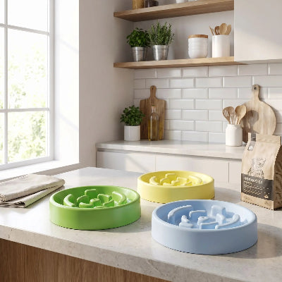 Gamelle pour chat anti glouton FeliFlow, trois variantes
