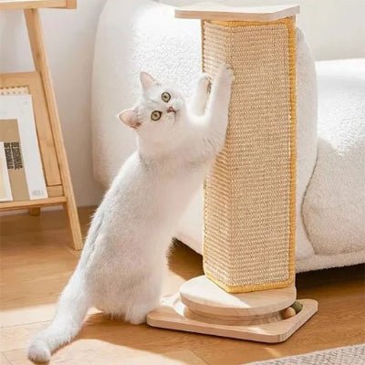 Griffoir chat | GriffoRelax - Chat Ronronne