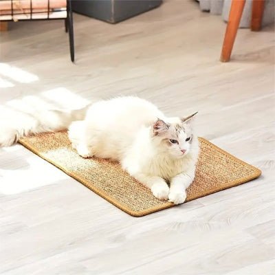 Griffoir chat | GriffoRelax - Chat Ronronne