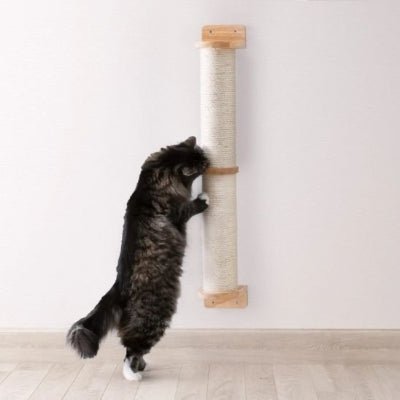 Griffoir chat | ScratchBar - Chat Ronronne