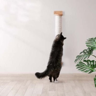 Griffoir chat | ScratchBar - Chat Ronronne