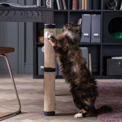 Griffoir pour chat | GriffSaver - Chat Ronronne