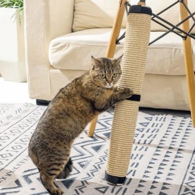 Griffoir pour chat | GriffSaver - Chat Ronronne