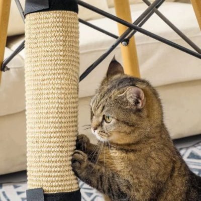 Griffoir pour chat | GriffSaver - Chat Ronronne