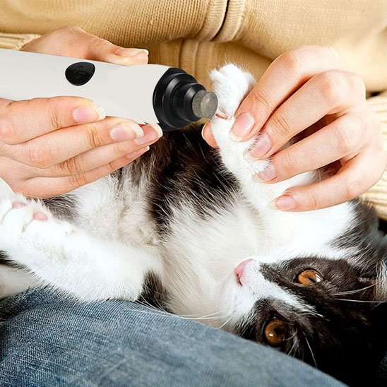 Lime Coupe griffe chat