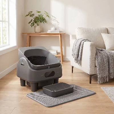 Litière autonettoyante connectée anti odeur dans le salon