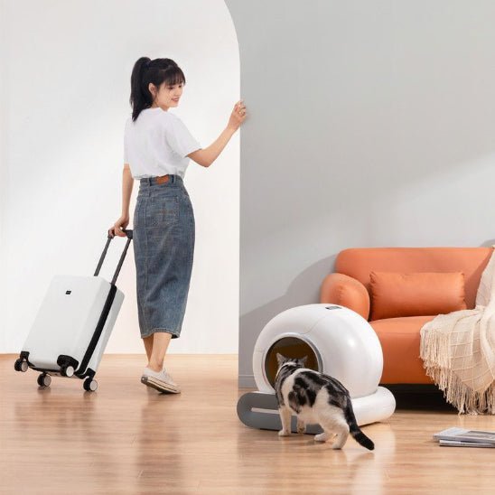 Litière autonettoyante | EasyClean - Chat Ronronne