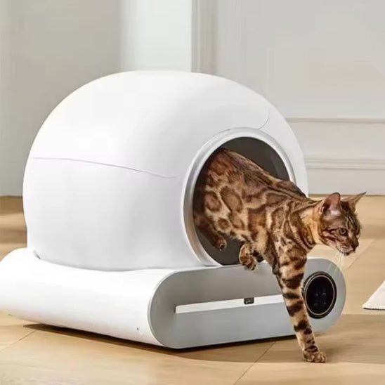 Litière autonettoyante | EasyClean - Chat Ronronne