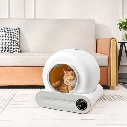 Litière autonettoyante | EasyClean - Chat Ronronne