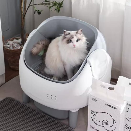 Litière autonettoyante | PurrSense - Chat Ronronne