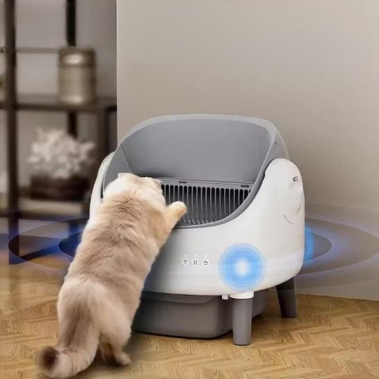 Litière autonettoyante | PurrSense - Chat Ronronne