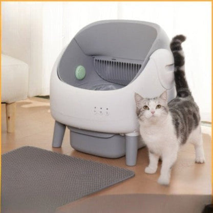 Litière autonettoyante | PurrSense - Chat Ronronne