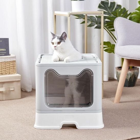 Maison de toilette pour chat | Hygiène Cat - Chat Ronronne