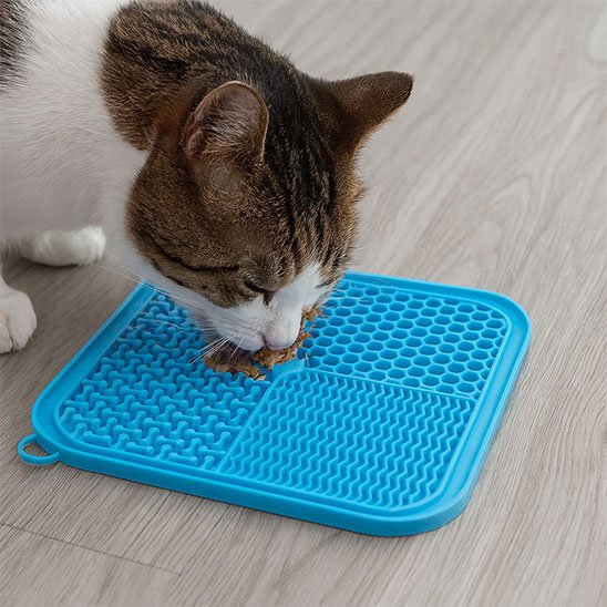 Tapis de lechage bleu