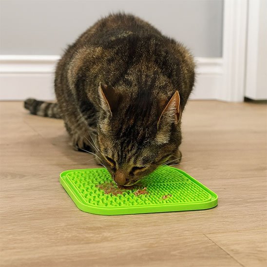 Tapis de lechage vert